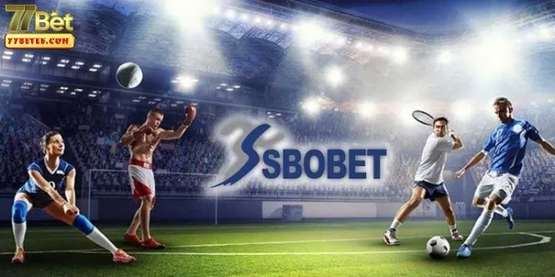 sbobet-77bet-3